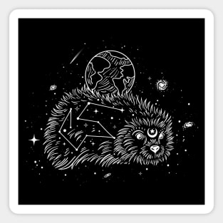 Earth Watcher - Space Hedgehog Magnet